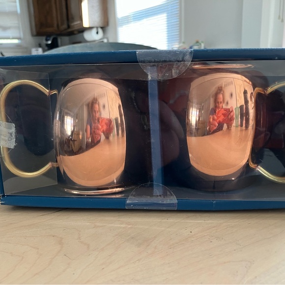 Pier 1 Moscow Mule Mugs, set of 4, Copper in Packaging - Picture 2 of 10